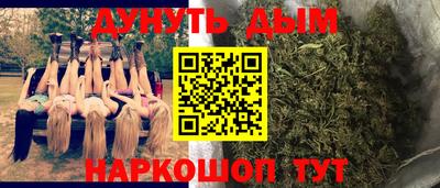 сатива Малоярославец