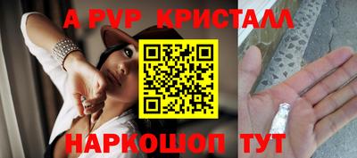 стафф Малгобек
