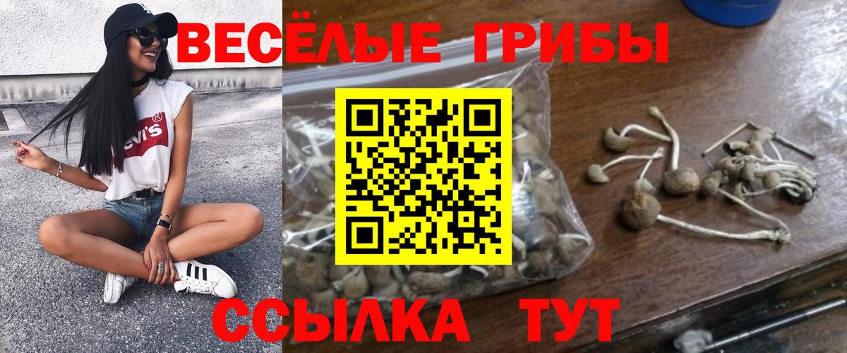 Галлюциногенные грибы Psilocybe  Галлюциногенные грибы прущие грибы  Вход с VPN  Учалы 